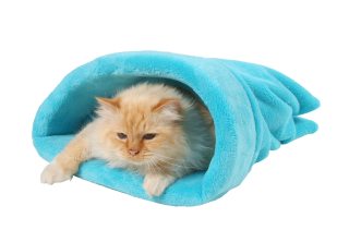 Nora pro kočky peršan