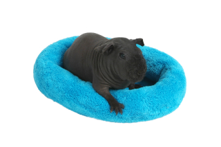 Pelíšek pro hlodavce