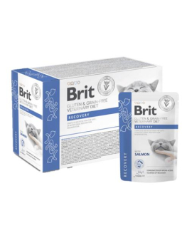 Brit VD Gluten & Grain-Free Cat Pouch Fillets in Gravy Recovery 12 x 85 g