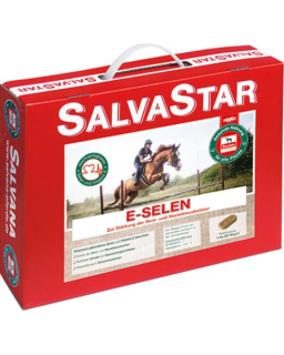 SALVASTAR E-SELEN pre kone 5 kg (brikety)