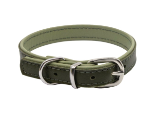 BAFPET Kožený obojek DENY, hladký Barva: Zelená, Rozměr: 16mm x 37cm /29-35/ 04103