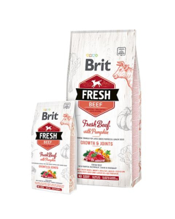BRIT Fresh Puppy Large hovädzie s tekvicou 2,5 kg